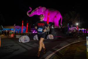 BIB: 
                            <button type="button" onclick="openModal(26552168)" class="btn btn-primary btn-sm float-right btn-popup" data-toggle="modal" data-target=".modal-high-quality">
                        <i class="fas fa-shopping-cart"></i> Add to Cart
                    </button>
                                            <button type="button" onclick="isThisMe(26552168, true)" class="btn btn-success btn-sm float-right btn-popup btn-isme hidden" data-toggle="tooltip" data-placement="bottom" title="นี่คือรูปของคุณใช่ไหม คลิกที่นี่เพื่อเอาเข้าอัลบั้ม">
                        <i class="fas fa-plus"></i> Add to album
                    </button>
                    <button type="button" onclick="isThisMe(26552168, false)" class="btn btn-warning btn-sm float-right btn-popup btn-isnotme hidden">
                        <i class="fas fa-ban"></i> Remove from album
                    </button>